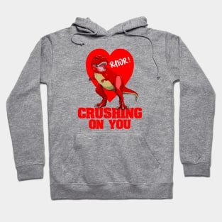 Valentine’s Day Dinosaur T Rex Crushing On You Hoodie